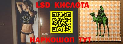 эйфоретик Новодвинск