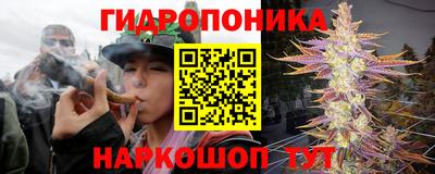 эйфоретик Новодвинск