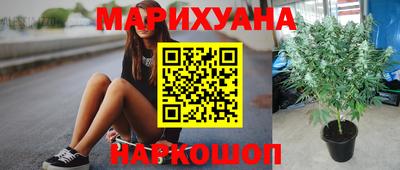 гашик Новокубанск