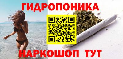 гашик Новокубанск