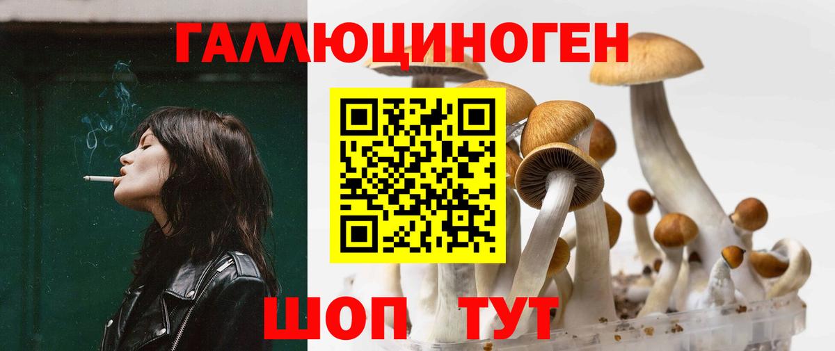 Галлюциногенные грибы MAGIC MUSHROOMS  Вход с VPN  даркнет сайт  Фролово  Галлюциногенные грибы Cubensis 